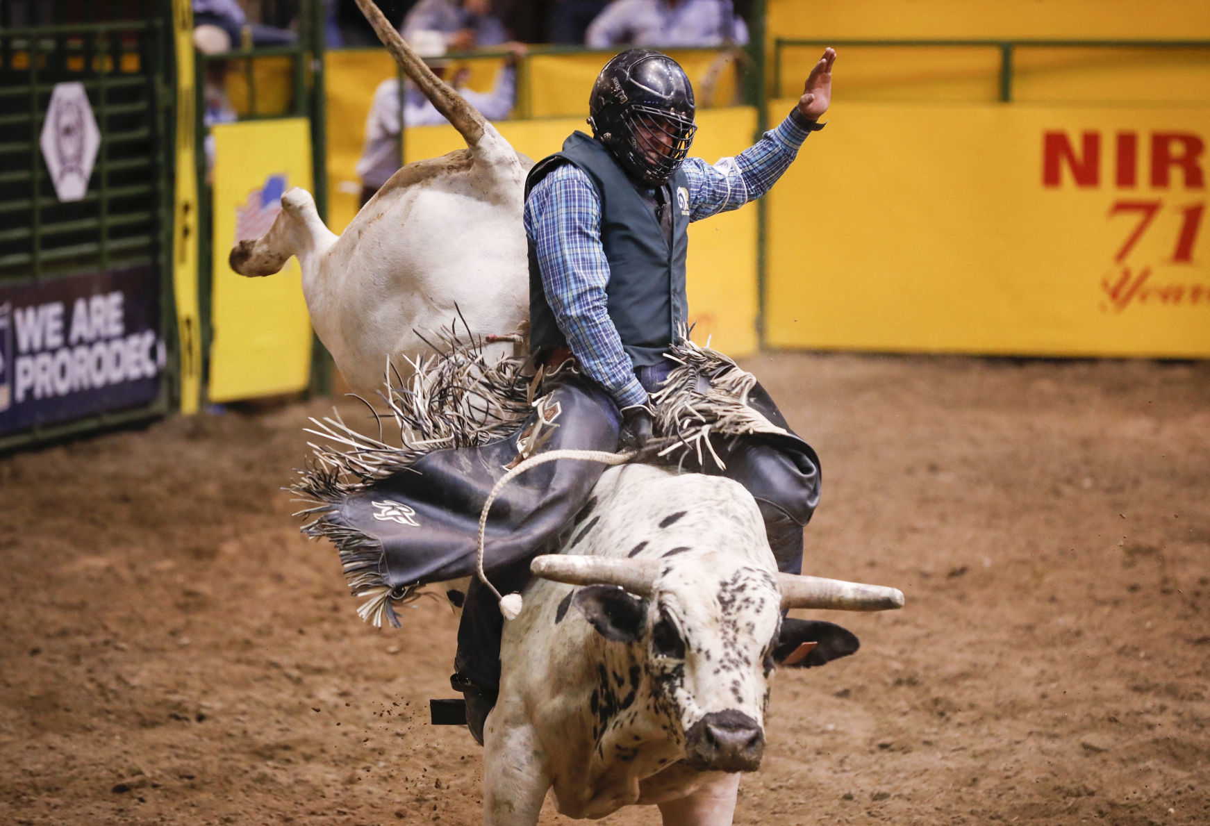 CNFR - Tuesday